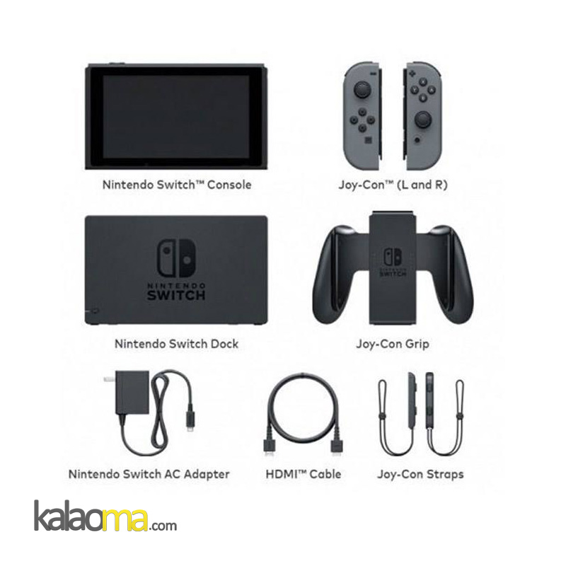 Nintendo Switch With Gray
